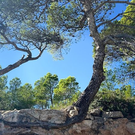 Cassa Jessi Villa Tarragona Bagian luar foto
