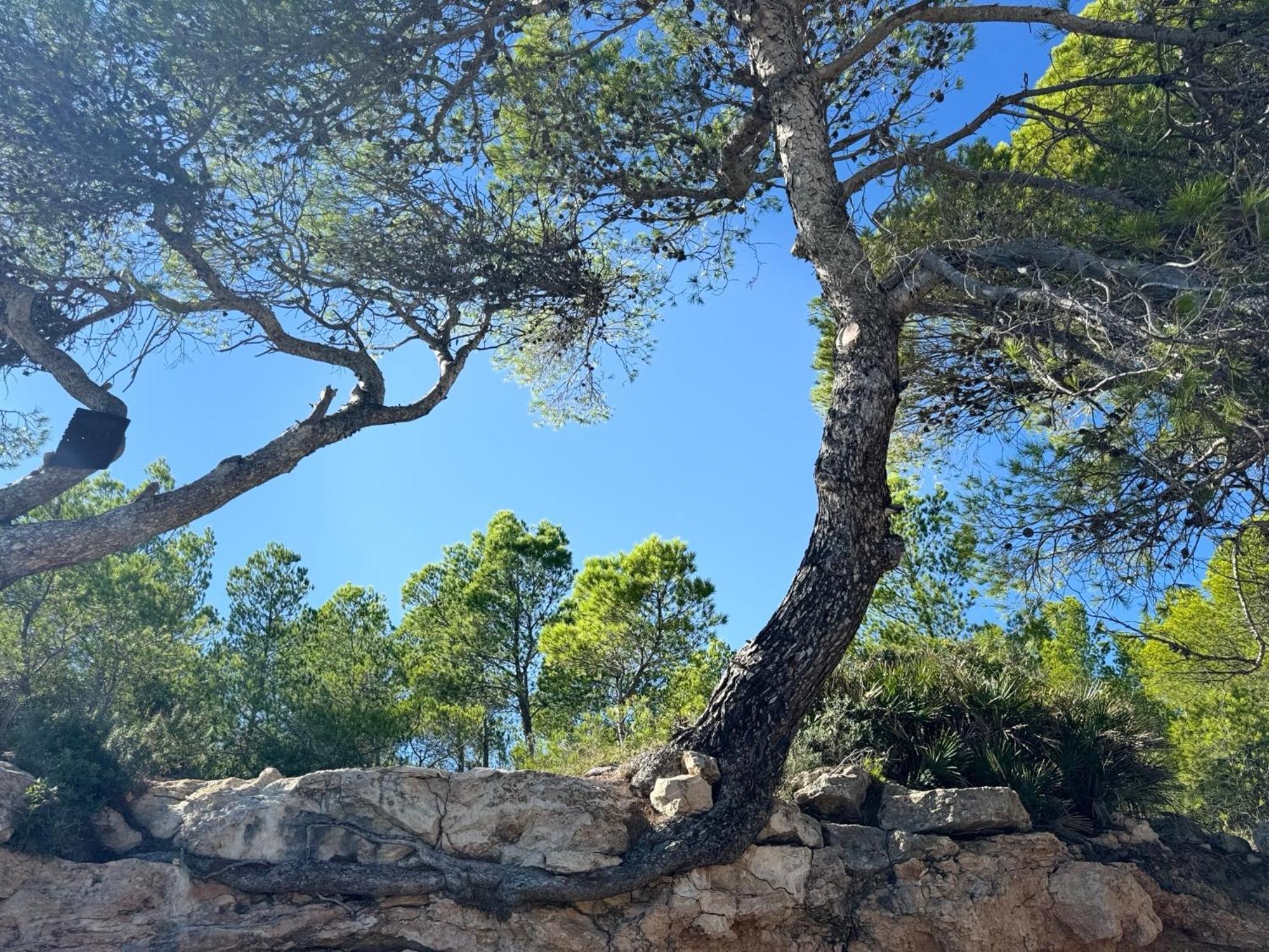 Cassa Jessi Villa Tarragona Bagian luar foto