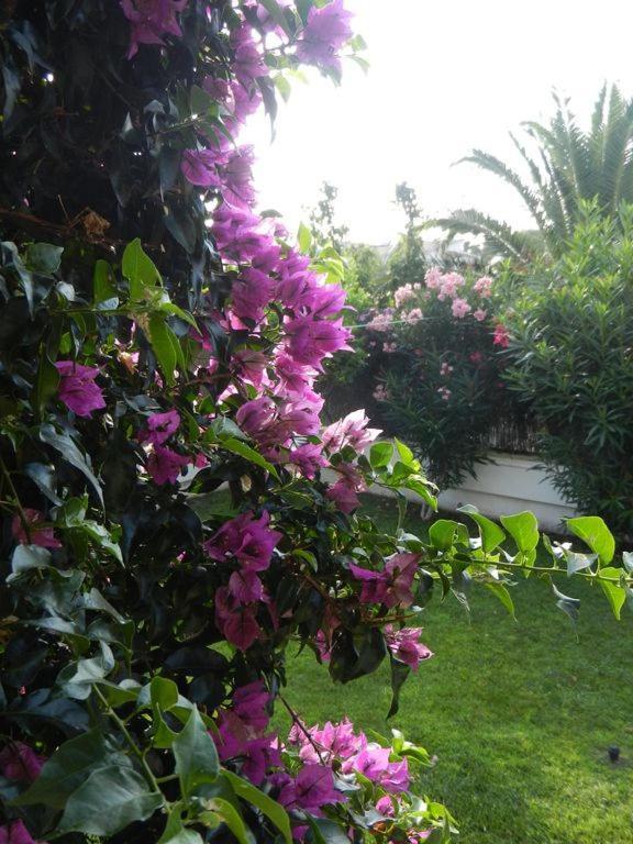 Cassa Jessi Villa Tarragona Bagian luar foto